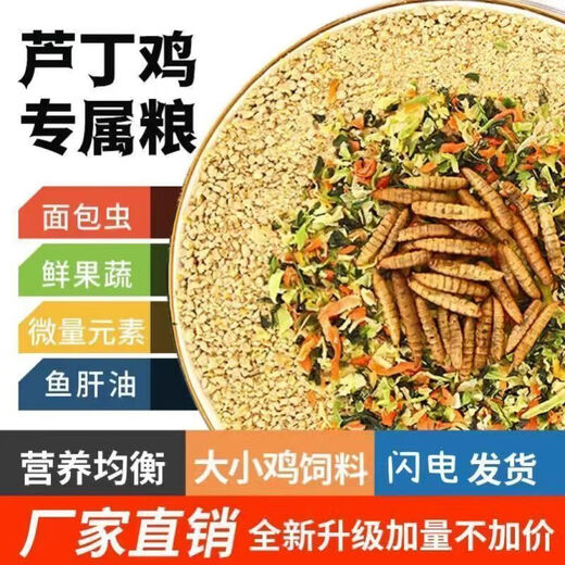 Special feed for rutin chickens, rutin chicken egg production feed, mealworm brooding feed, quail feed, high protein 10Jin Jin is equal to 0.5kg, egg production food containing mealworms, dried vegetables