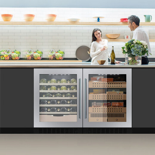 DBERLAN JC145 under kitchen counter embedded cigar cabinet red wine cabinet constant temperature wine cabinet beverage cabinet tea ice cream ice machine refrigerator cabinet home stainless steel door wine cabinet cigar cabinet combination 290L