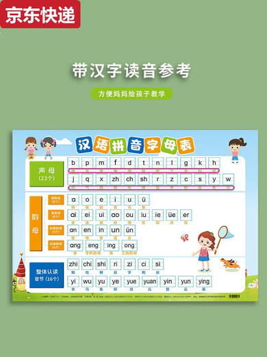 CAOX一年级汉语拼音字母表墙贴挂图全套小学拼读训练全表教具学习神器 2张新版拼音+笔画偏旁部首