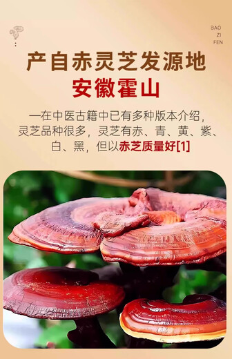 北京同仁堂官方正品破壁灵芝孢子粉中老年病后体虚体弱强免疫抵抗力 3盒*10袋
