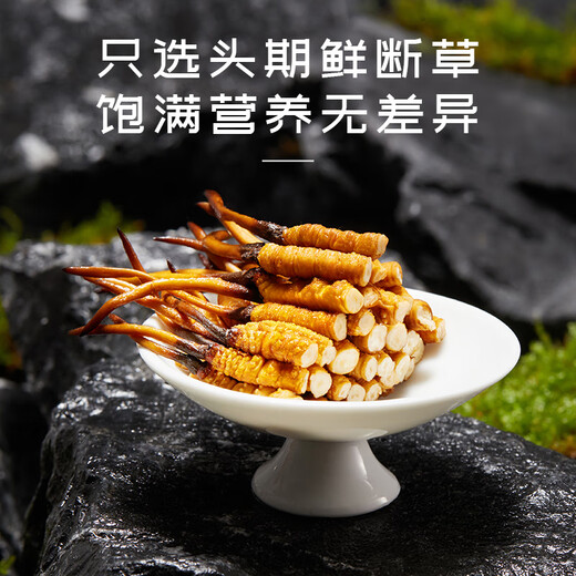 El primer rastrojo de Ayishe, Wild Fresh Cordyceps sinensis, Nagqu, Tíbet, 20 gramos de Cordyceps sinensis, directamente de la fuente