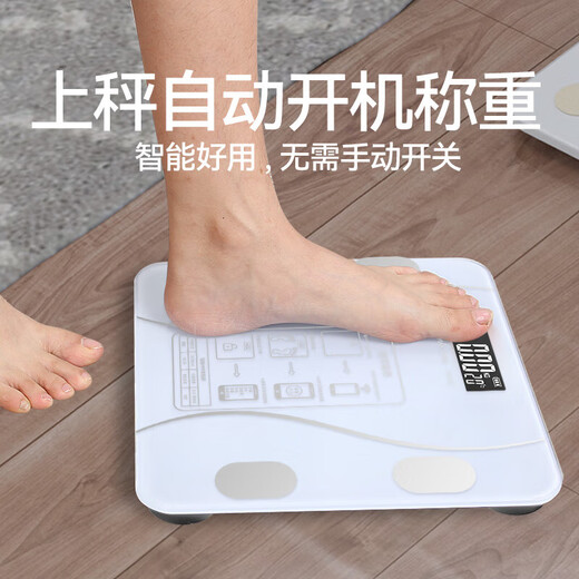 体脂秤智能称体重秤电子秤 自营体脂称电子秤小米苹果手机精准家用电子秤智能精准体脂秤减肥体重 皓月白 充电款 智能体脂秤