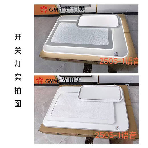 倪之尔铁艺铝材客厅灯卧室灯餐厅灯现代简约大气轻奢吸顶灯套餐灯 2501-2长/9901-110*70cm-遥控带