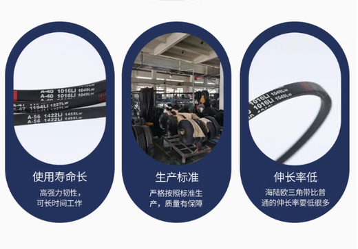 Longbusheng belt 46021