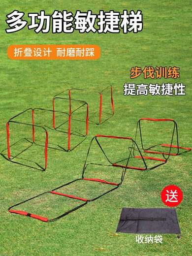 跳格子绳梯多功能敏捷梯固定式跳格梯子儿童篮球足球协调体能训练 4.8米12格敏捷梯（红色+包+视频