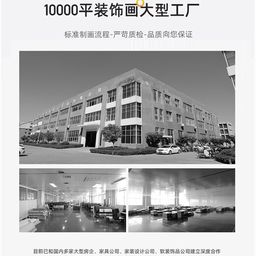 Meiyouchun moderne et simple salon de salon décoratif peinture triple combinaison canapé fond mur peinture abstraite rabu