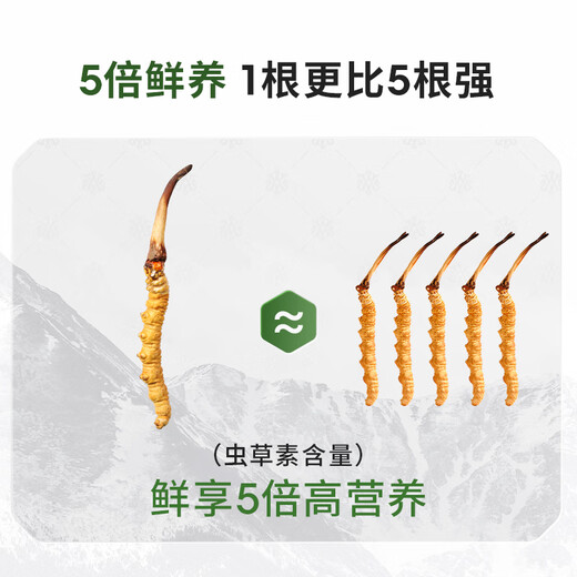 阿依舍西藏那曲新鲜冬虫夏草0.5-0.6g/根50根野生鲜虫草源头直发包邮