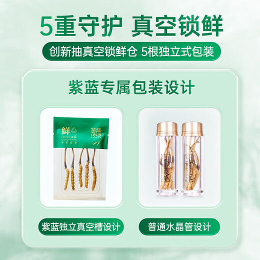 Purple and blue flowers sea fresh Cordyceps sinensis first stubble Cordyceps gift box for self-use 0.5-0.6g/root 50