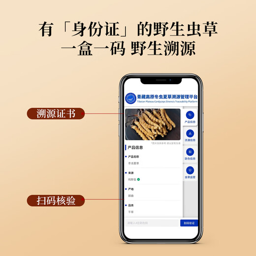 Mid-mountain farm [wild] Cordyceps sinensis 6 pieces/g 1 gram Tibet Nagqu Cordyceps sinensis to nourish nutritional products for parents and elders