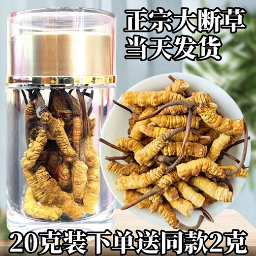 Cordyceps sinensis broken grass authentic first-rate Cordyceps in Tibetan areas home-packed self-eating first choice 10 grams get 1 gram more buy more buy more buy more buy more buy more buy 60 grams get 6 grams