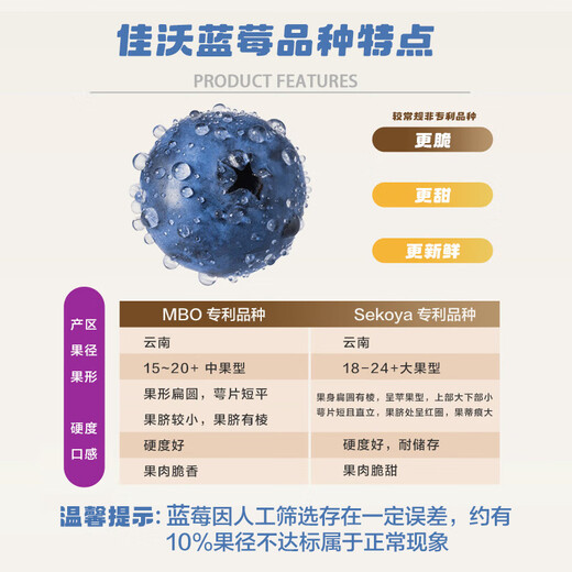 JOYVIO Yunnan Blueberry Sweet Floral Series 14mm+ 4 boxes gift box about 125g/box fresh fruit