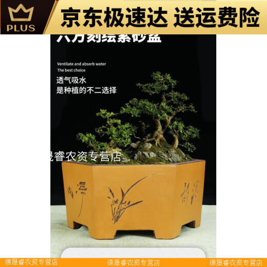 宜兴六方紫砂花盆特大兰花盆绿植花卉大号六角陶瓷盆景盆的 选691小号