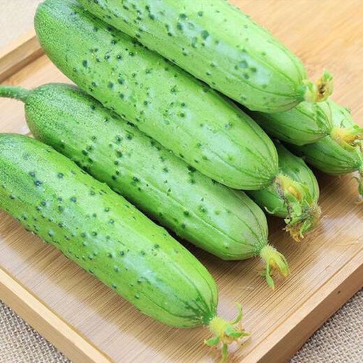 New varieties of fruit cucumbers are on the market for raw consumption. Four-season fruit seeds and vegetable seeds are new varieties for balcony planting. New varieties of crisp and sweet fruit cucumber seeds are about 50 capsules per pack.