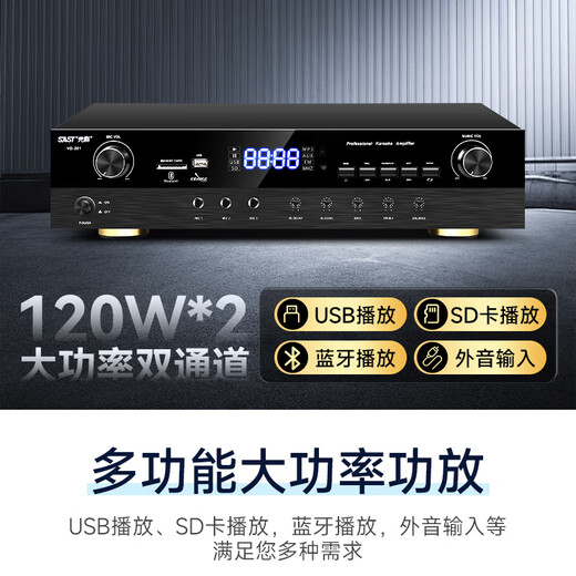 XIANKE (SAST) Professional Small and Medom Tames Conference Equipo de audio Conjunto completo de amplificador de micrófono inalámbrico Juego de audio Conferencia de formación de música de fondo Conferencia especial Bluetooth Amplificador Bluetooth Altavoz montado en la pared [Dos conjuntos de audio de conferencia de 12 pulgadas] Micrófono dual (100-220 metros cuadrados)