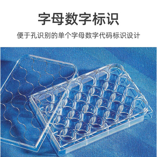 Yuncheng Corning 6 12 24 48 Plaque de culture cellulaire à 96 puits Low Adsorption TC U-Bottom Culture Plate COS 352424 Puits