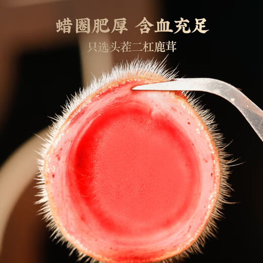 Yilu Plum Blossom Fresh Deer Antler 100g Fresh Bloody First Souce à deux barres Vin et les herbes trempées sont directement à partir de la source