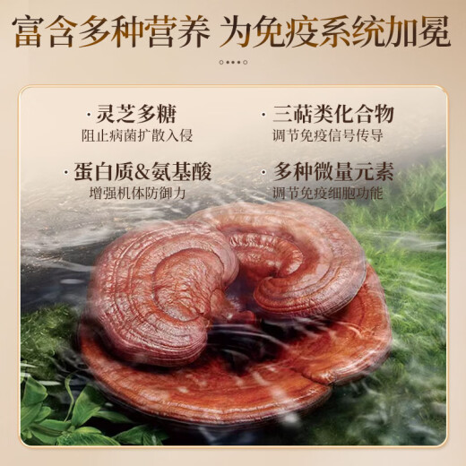 Yeke Ganoderma Lucidum Powder Yeke Spore Powder Cápsulas para adultos y personas de mediana edad para recuperar y aumentar la resistencia. La segunda botella es a mitad de precio. Sabor original