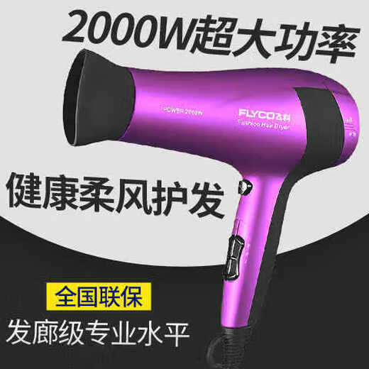 飞科电吹风机家用大功率2000W发廊冷热风负离子护发大风力吹风机 FH6231 标配+气垫梳套装【送旅行袋】