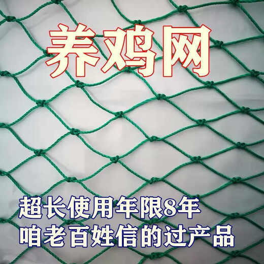Chicken net, chicken net, fishing net, breeding net, fence net, nylon vegetable garden fence, climbing vine grid, chicken net, protective fish net, thickened 18 strands, 3 cm thick reinforced ribs, 2 meters high and 10 meters long