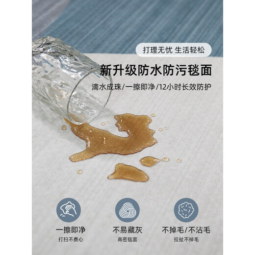 地垫客厅2025新款免洗可擦沙发地毯卧室感家用轻奢防水茶几毯 简约15601号 240*400cm(定制不退不换)