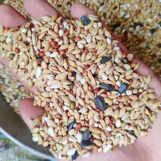 Pigeon food Yipinhong clear pigeon food 45Jin Jin is equal to 0.5kg loaded pigeon food carrier pigeon racing pigeon pigeon food Jiangsu, Zhejiang, Shanghai and Anhui