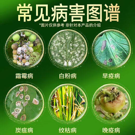 Hulian Plant Protection 80% Mancozeb Tomato Vegetable Fruit Tree Rose Flower Medicine Leaf Spot White Powder Early Blight Pesticide Fungicide