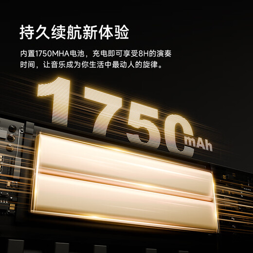 贝琪（Betsy） 电钢琴88键成人儿童便携折叠钢琴新手入门幼师学生初学电子钢琴 B177【经典款】-黑色 套餐一：标配