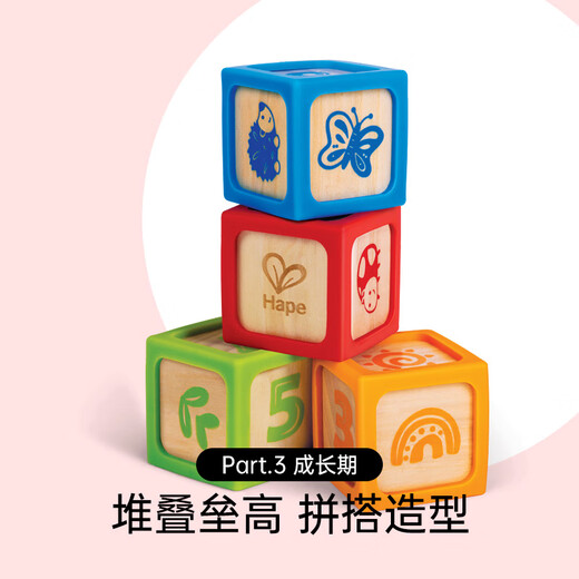 Hape (Deutschland) Kinderbausteine Spielzeug Large Getreide Silikonbausteine 4 Packungen Jungen und Mädchen Geburtstagsgeschenke E0132