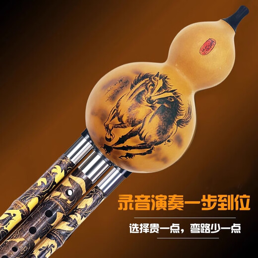 西马格葫芦丝c调小学生专用初学者成年人降B调专业演奏级品牌旗舰店乐器 [龙凤管]演奏型F调+赠品