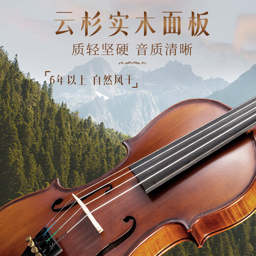 
Xi'an violin solid wood violin beginners' handcraft professional grade children's adult orchestra grade exam solo music Xi'an-4/4 (155cm-220cm suitable)