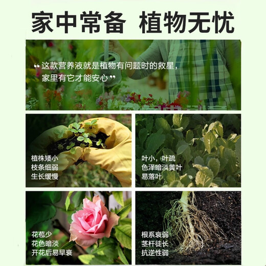 Nutrient solution plant universal flower fertilizer fortune tree rich bamboo green dill hydroponic potted household flower flower fertilizer universal concentrated type 500 ml bottle