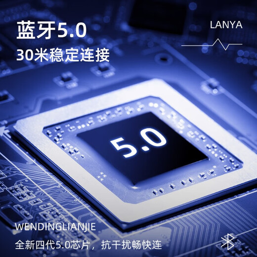 TOYO T6 musical instrument guitar audio playing and singing karaoke internal recording box electric blowpipe saxophone Bluetooth live broadcast customized model blue + bag + microphone