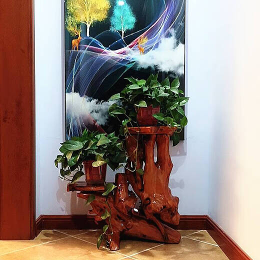 咏幻原木根雕花架树根天然摆件客厅多层盆景架鱼缸实木底座阳台 16857
