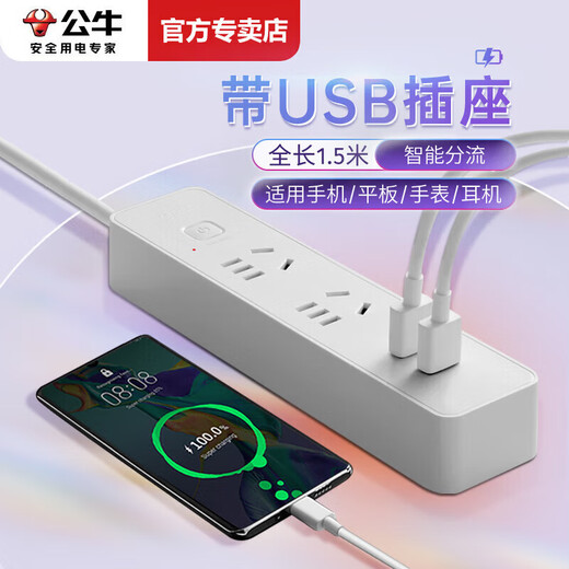 Bull Electric USB Socket Multi-fonction des écouteurs téléphoniques mobiles USB PLAGE DE CHARGE FASS
