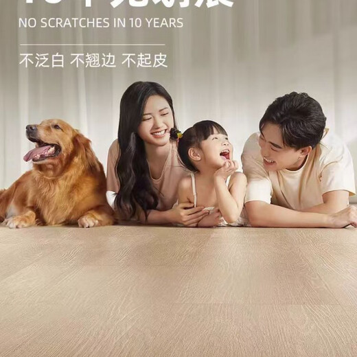 溥畔新三层防水家居家用14mm耐磨孕婴放心用金刚面防滑防腐 cx3271-14mm 木地板都是裸板价格