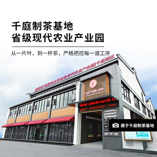千庭单丛特级鸭屎香茶叶 潮州乌岽高山单丛乌龙茶50g 庄园鸭屎50g 50g
