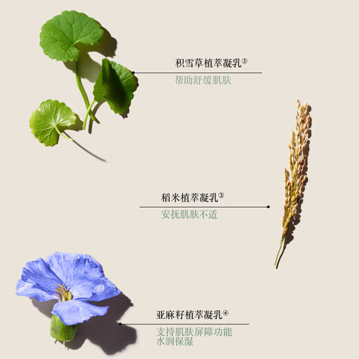 Fuleishi Milky Body Lotion and Shower Gel Set Soothing and Smooth (75ml+75ml) On Clearance