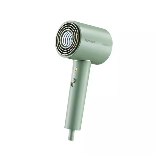 Flyco/Haartrockner Haushalt High-Power High-Speed ​​Dry Negativ-Ionen-Haarpflege Wohnheim Studenten FH6310 Flyco FH6296 (hellgrün)