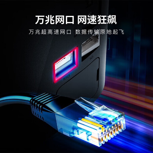 Extreme Space NAS Private Cloud Z423 Ultimate 32G Home Network Storage Server Four-bay 10G Performance Behemoth Z423-Ultimate Edition Z423 with Western Digital Red Disk 8T*2