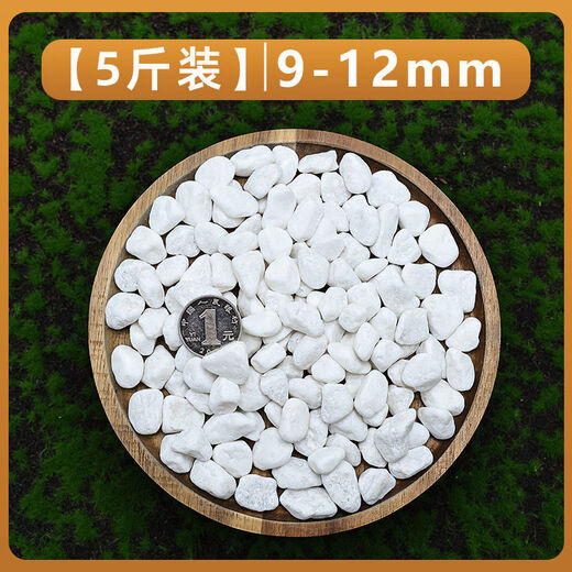Runhua Nian micro landscape white pebbles Yuhua stone succulent plant paving stone fish tank flower pot decoration small stones 5Jin Jin equals 0.5kg (9-12mm) white pebbles