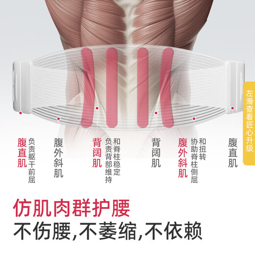 WSPEN德国医用护腰带腰间盘突出神器腰肌劳损腰脱膨出透气久坐腰带男女 L码:2尺6≤腰围＜3尺3