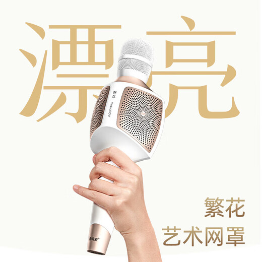 Meiniao Big Sound Speaker Mic, the same model for celebrities and internet celebrities, set, microphone and audio integrated home KTV wireless microphone, outdoor singing artifact, all-in-one live broadcast singing and recording karaoke, Big Sound Speaker Mic 60w flagship double version