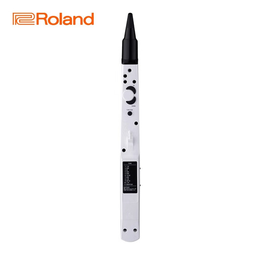 罗兰（Roland）电吹管AE05C自带音源电萨克斯民族音色AE01老年初学入门电子管乐 AE-01C白色