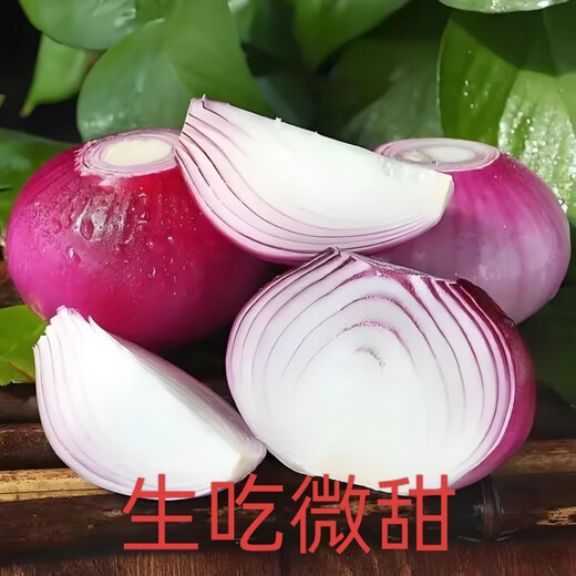 [Manger cru légèrement sucré] gansu jiuquan purppe oignon fraîche oignon rouge 5 Jin [Jin est égal à 0,5 kg] Végétables bon marché pour l'élimination du formaldéhyde, Onion de sélection de haute qualité 13586 Single 5 Jin [Jin est égal à 0,5 kg]