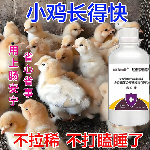Luanci chicks' open intestines, calming chicks' diarrhea, anorectitis enterotoxin, salmonella, general veterinary additive for chicks, 1 bottle of standing medicine for chicks, head down and close eyes
