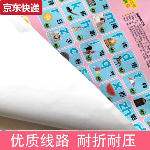 两雪有声挂图拼音儿童启蒙早教认知发声墙贴宝宝语音识字卡0-6岁玩具 桔红色
