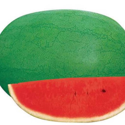 Xinhongbao watermelon seedlings extra large early maturing four-season disease-resistant green extra large sweet lazy watermelon seeds giant watermelon seedlings A Xinhongbao watermelon seeds 1 pack