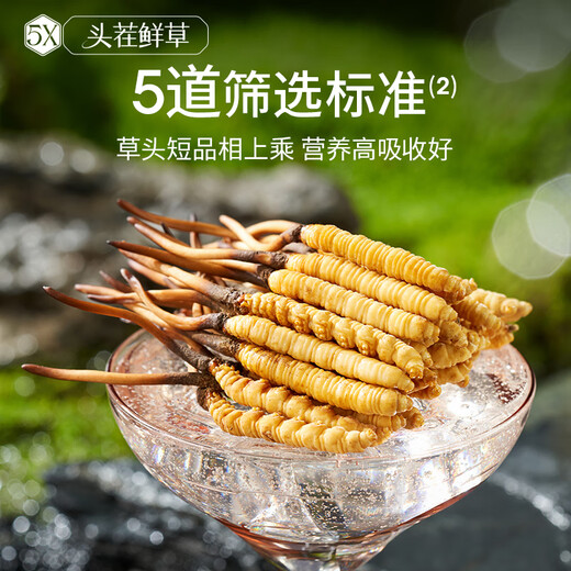 Ayishe Fresh Cordyceps sinensis 1,0G/50 Wurzeln frischer Cordyceps sinensis [gerade Haare an der Quelle]