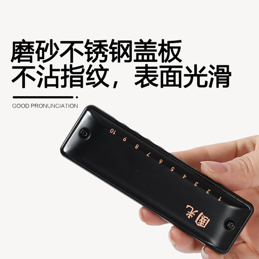 Guoguang 10 Hole Country Light Blues Harmonic (Frosted Black, Resin Core, Resin Cases)