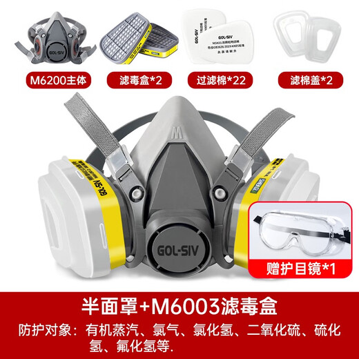 Shengli M6200 Gasmaskenmaske, anti-organischer Dampf/Wasserstoffsulfid/Schwefeldioxid, chemische Dekorationsspray-Farbe M6003 mit 22 Filterbaumwäsche